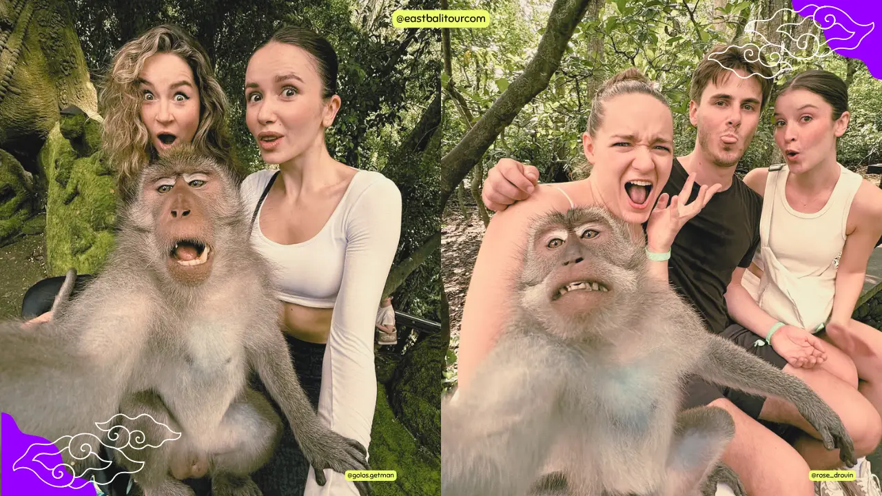 Sacred Monkey Forest Sanctuary in Ubud with playful long-tailed macaques and lush tropical greenery