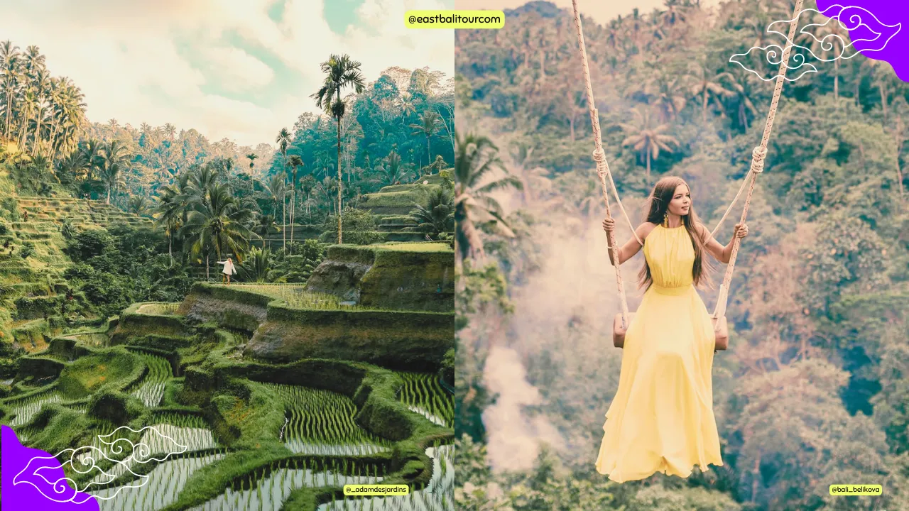 Bali Day Tour to Tegalalang Rice Terraces – scenic rice fields and cultural landscapes in Ubud.