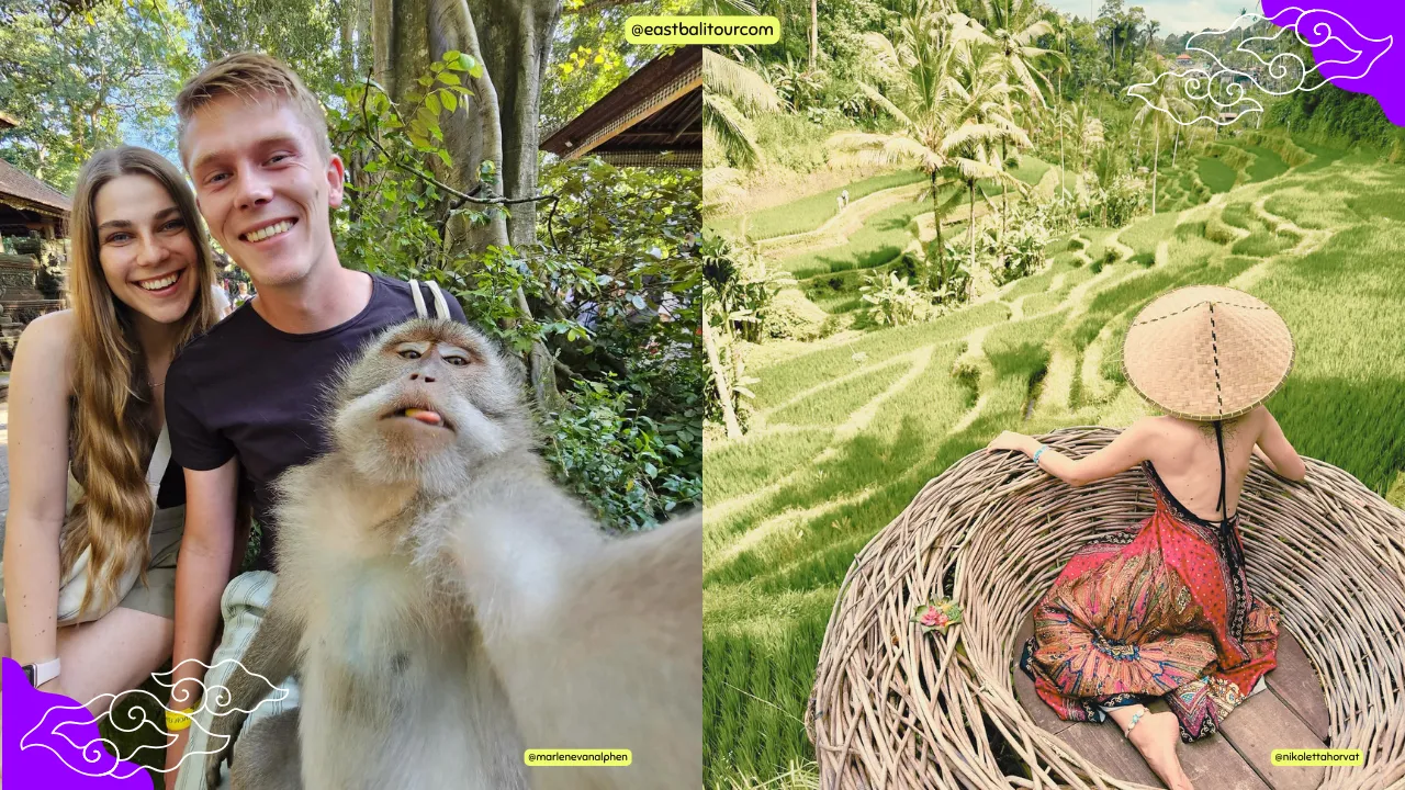 Best Ubud Day Tour: Monkey Forest, Rice Terrace & Jungle Swing 3 Cheap Ubud Day Tour – Tegalalang Rice Terrace Bali scenic view