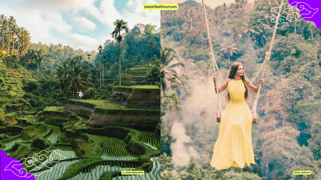 Ubud Waterfalls Tour 4 Traveler exploring a hidden jungle waterfall near Ubud, followed by panoramic views of Tegalalang Rice Terrace—part of a full-day Bali nature tour.