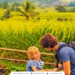 Jatiluwih Rice Terraces