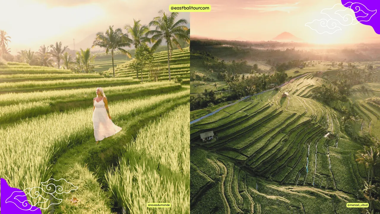 Jatiluwih Rice Terraces in North Bali with layered green fields and mountain backdrop.