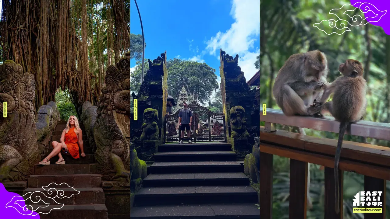 Sacred Monkey Forest Sanctuary in Ubud Bali with lush jungle, temples, and playful monkeys