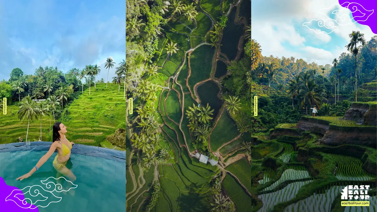 Tegalalang Rice Terrace Bali, iconic layered rice fields with lush greenery and scenic views
