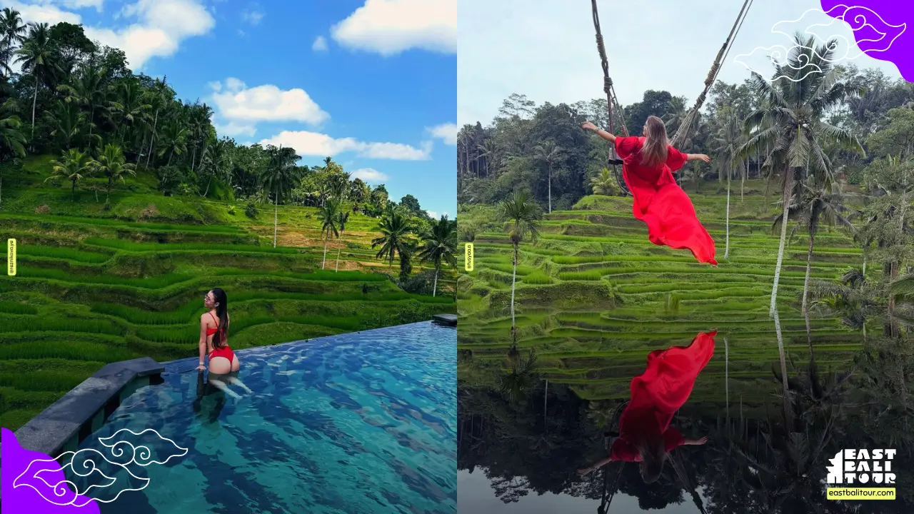 Tegalalang Rice Terrace Bali, iconic layered rice fields with lush greenery and scenic views
