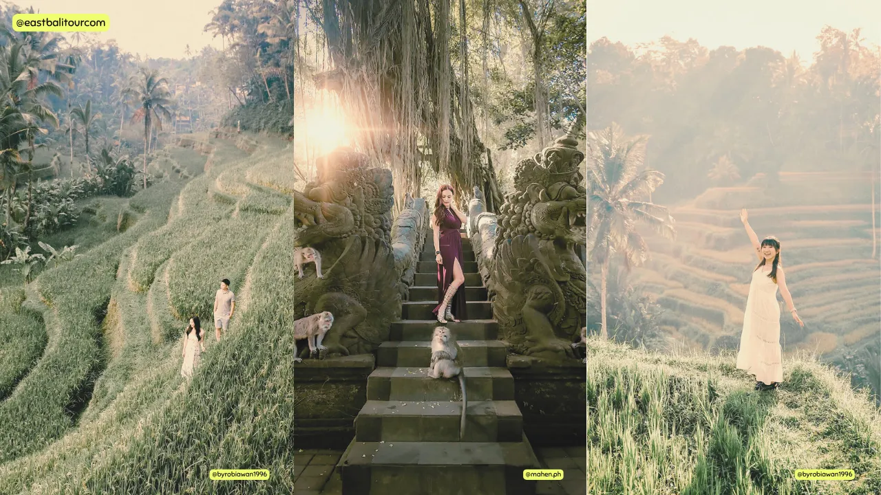 Ubud Day Tour – Healing Waters, Rice Terraces & Village Life 1 Ubud Day Tour with purification ritual at Tirta Empul Temple and rice terrace exploration