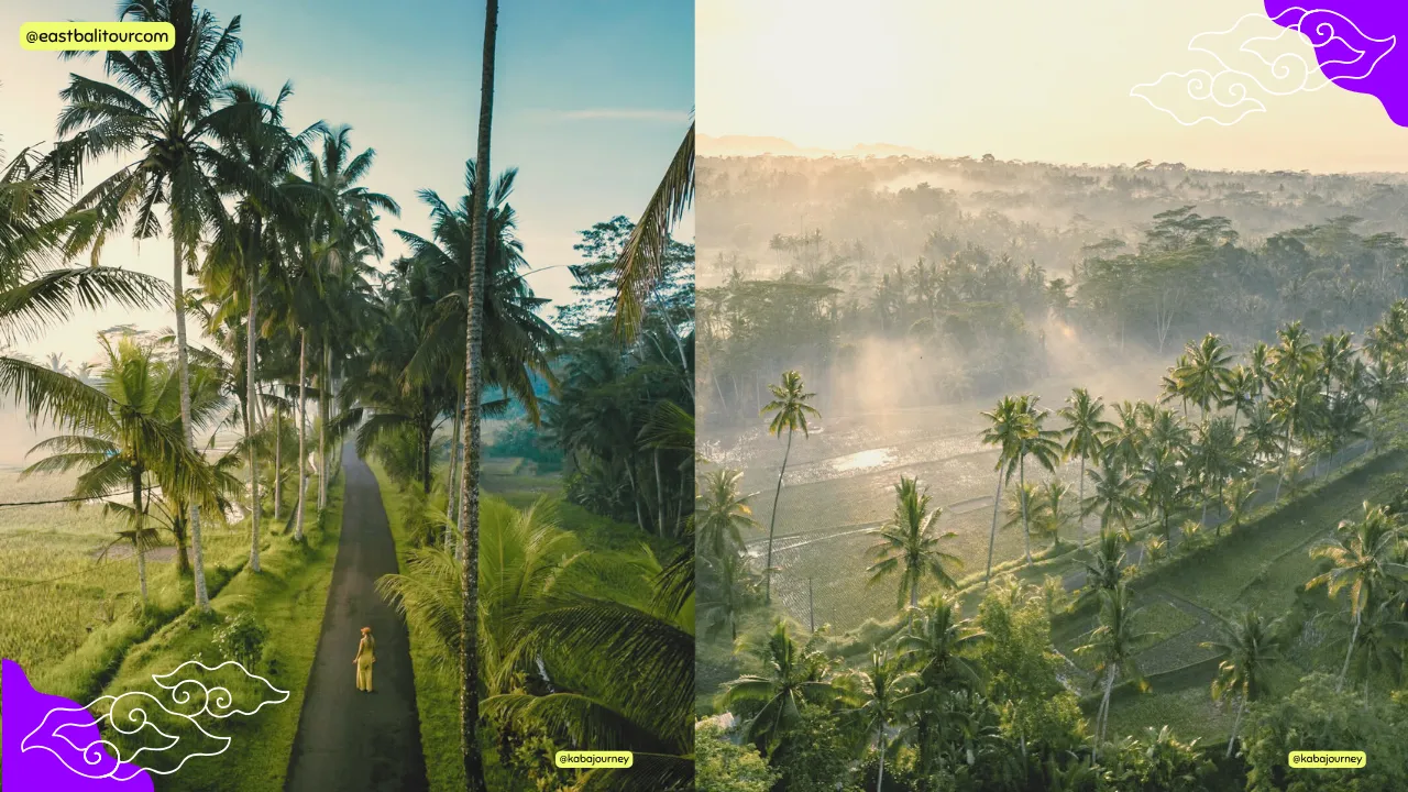 Ubud Day Tour – Healing Waters, Rice Terraces & Village Life 5 Ubud Day Tour with hotel pickup, Balinese lunch, and guided cultural stops