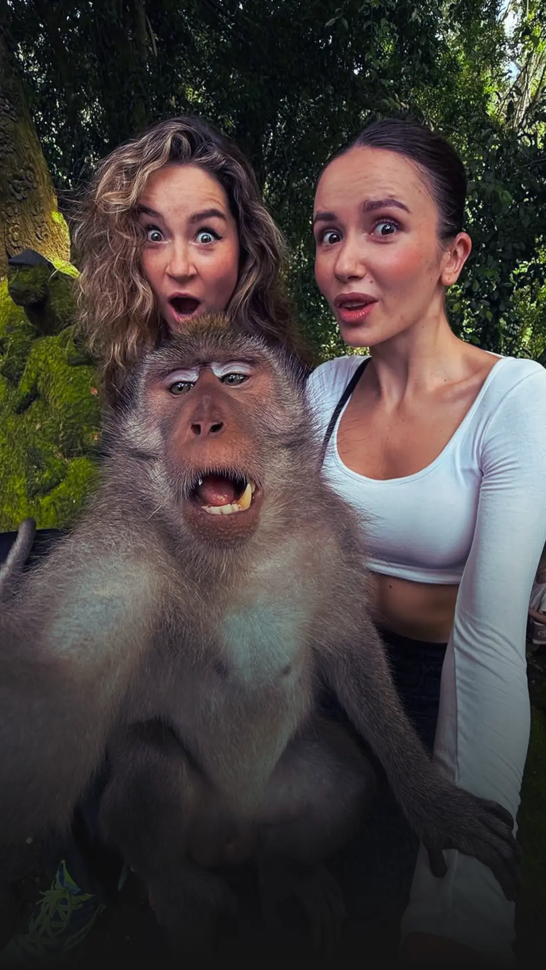 Ubud Monkey Forest Tour with sacred temples, playful monkeys, and lush jungle setting.