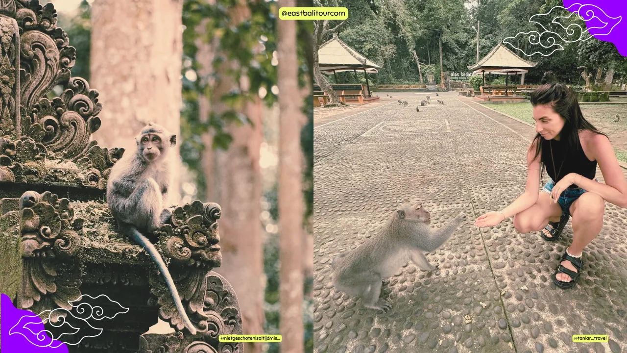 Excursión al atardecer en Tanah Lot - Patrimonio balinés y vistas del horizonte