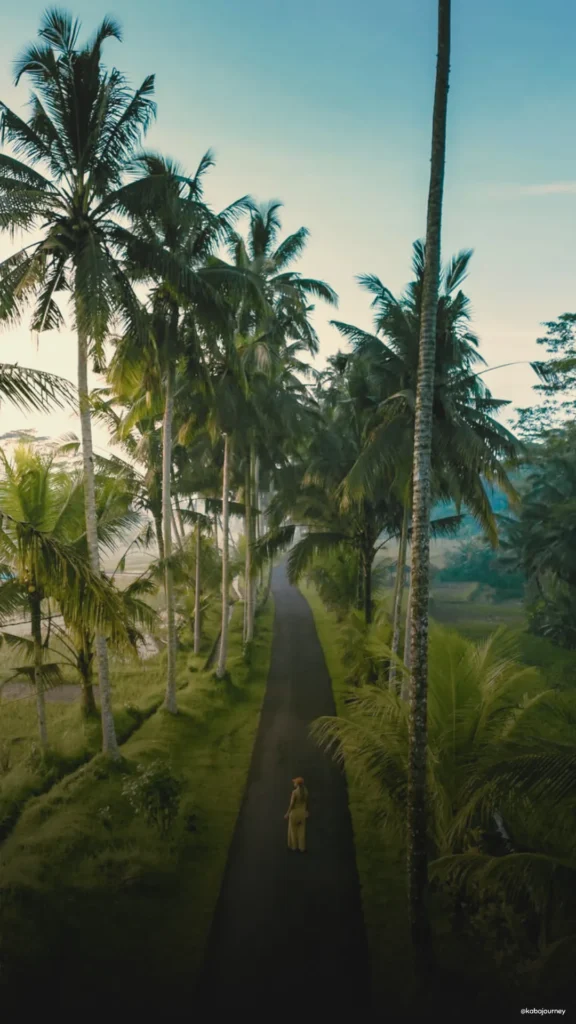 Excursión por Ubud: arrozales, templo sagrado y pueblo tradicional balinés
