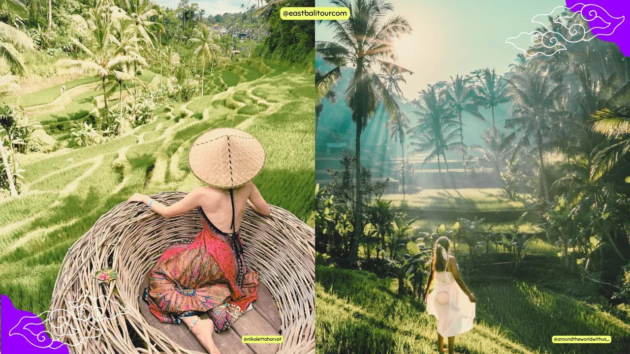 Tour Todo Incluido en Bali – Experiencia en los Arrozales en Terraza de Tegalalang con vistas panorámicas únicas