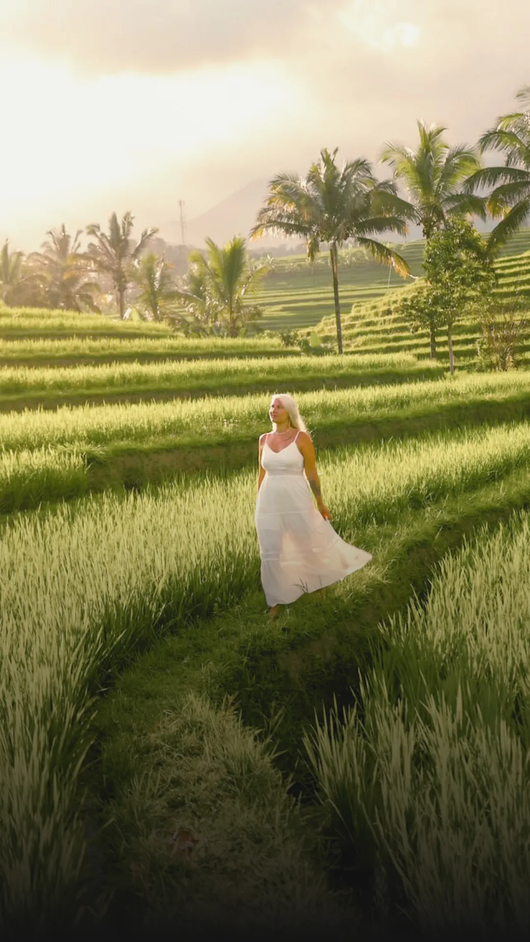 우붓 저예산 당일치기 여행 – 몽키 포레스트, 라이스 테라스, 정글 스윙 체험