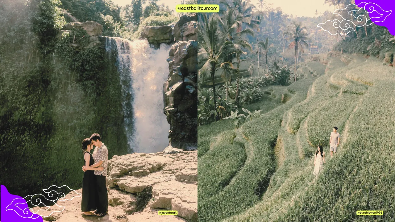 Excursión de un día a Ubud barata con visita a la Cascada de Tegenungan en Bali