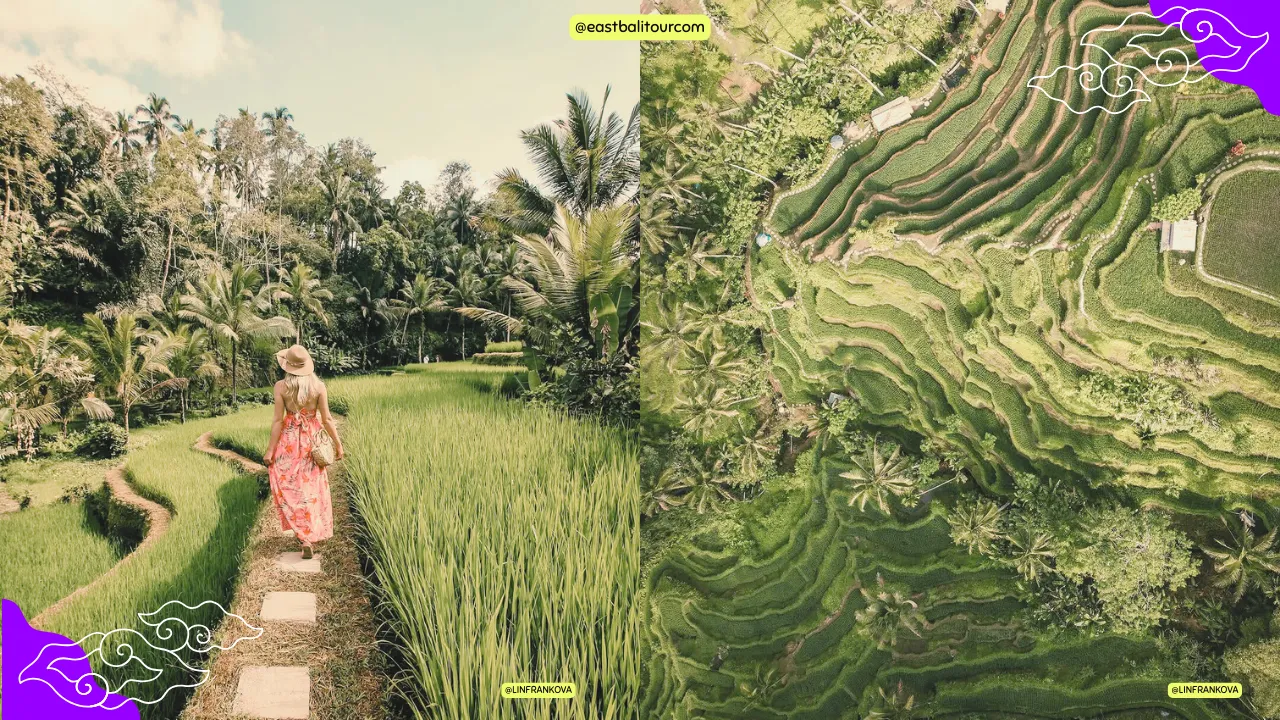 Paquetes Privados de Tour en Bali - Tesoros Ocultos de Bali en Un Día 5 Tour Privado Épico por Bali en Tegalalang – explora las terrazas de arroz más famosas del mundo.