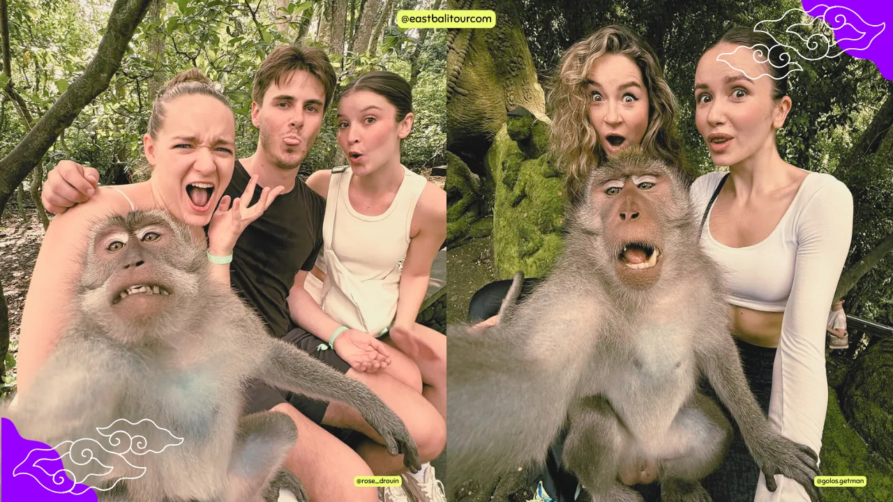 バリ島1日ツアー - 人気観光スポットを1日で満喫するプラン 2 バリ島1日ツアー – 神秘的なモンキーフォレストで体験する自然と野生の調和