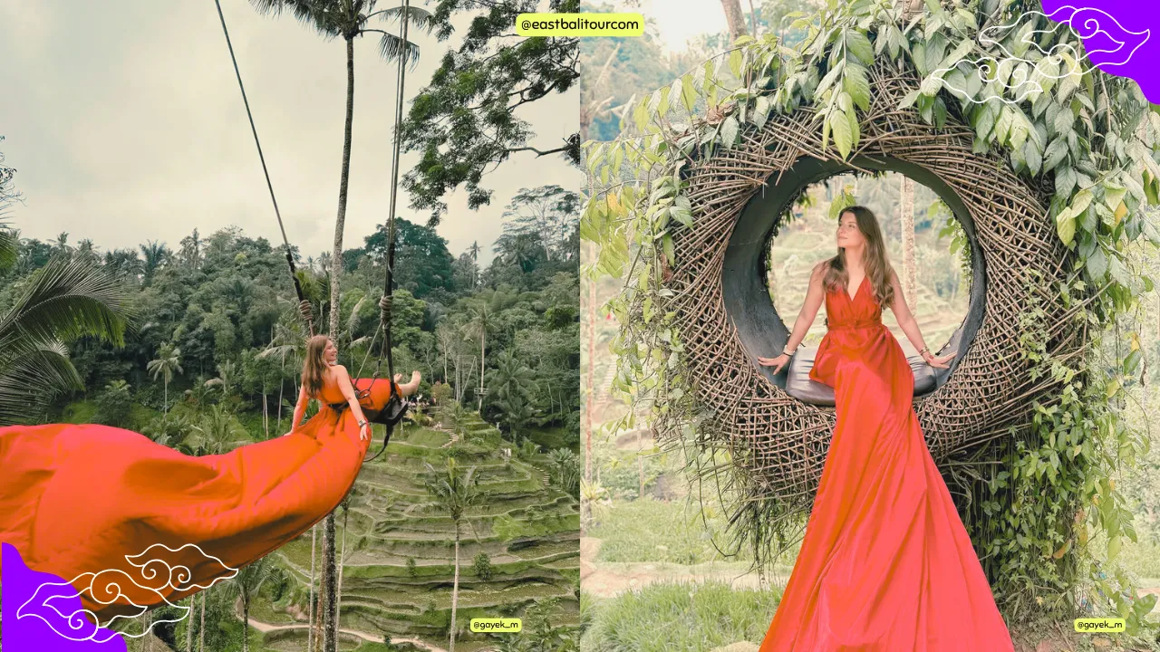 우붓 인근의 뜨갈랄랑 계단식 논에서 햇살 아래 반짝이는 논과 푸른 야자수가 어우러진 풍경.