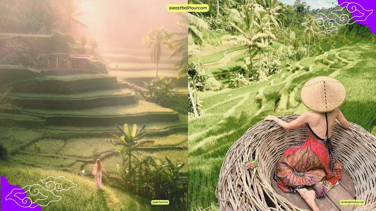 Terrazas de arroz de Tegallalang 12 Amanecer sobre las Terrazas de Arroz de Tegallalang en Ubud