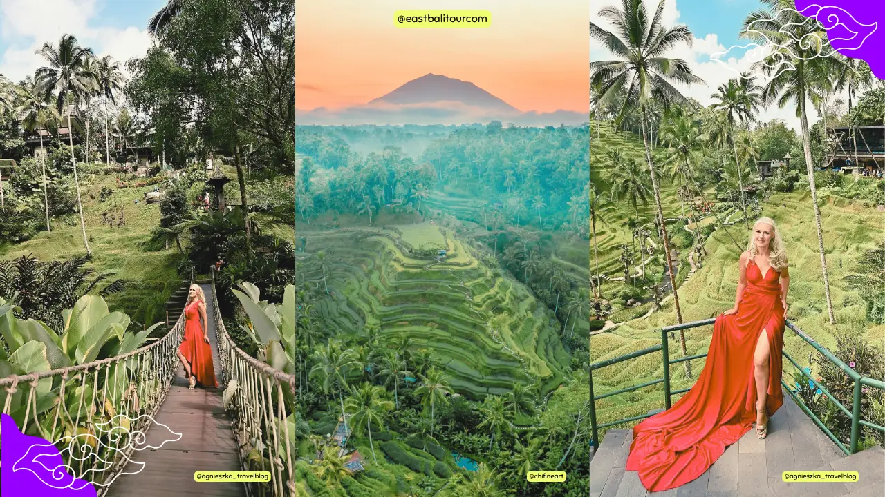 Viaje a Bali - Café mirador de las Terrazas de Arroz de Tegallalang en Ubud