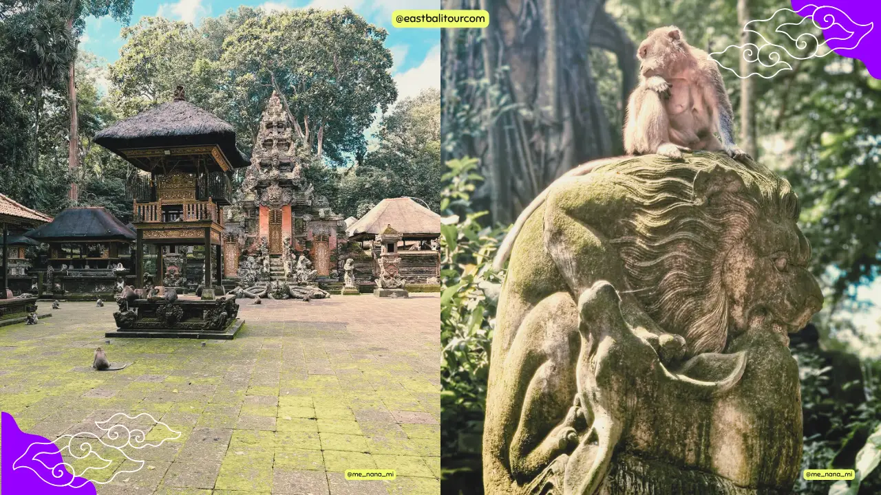 Excursión privada al Bosque de los Monos de Ubud durante un Ubud Day Tour en Bali.