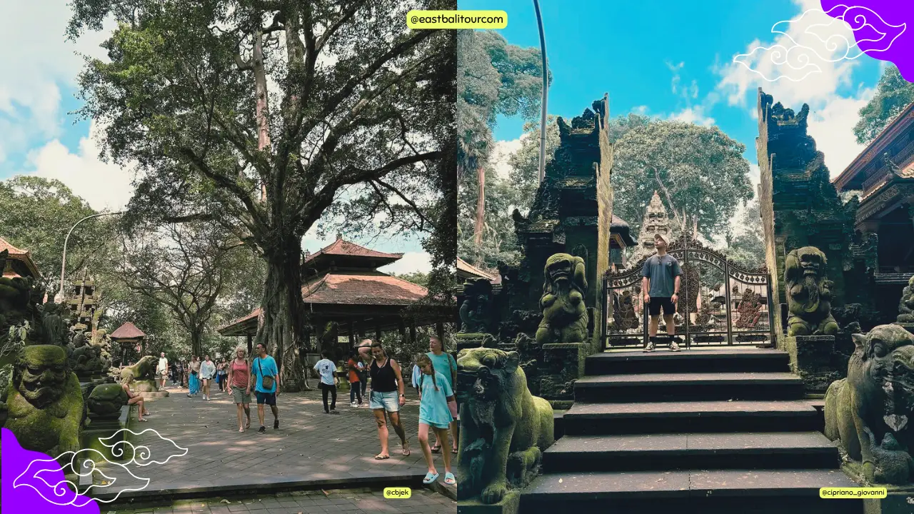 Ruta cultural en Bali con parada en el Bosque de los Monos de Ubud y templos tradicionales.