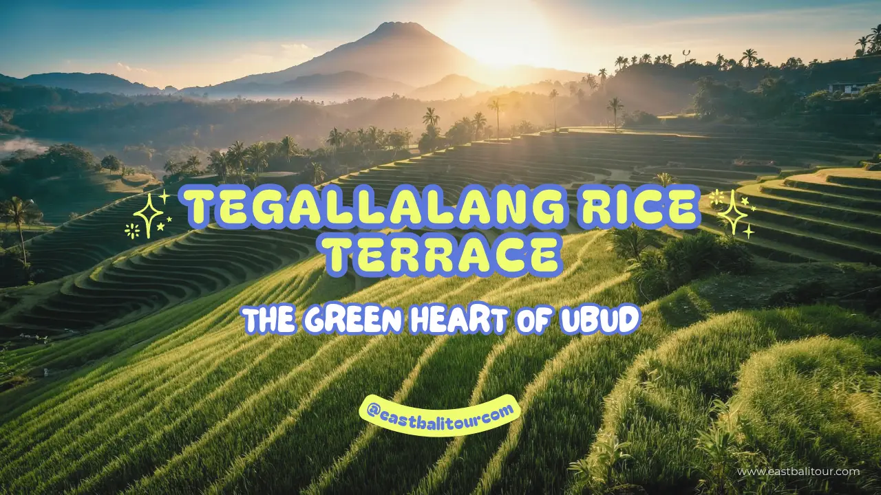 Tanggalang Rice Tegallalang Rice Terraces Bali | Best Bali Travel Guide 2026