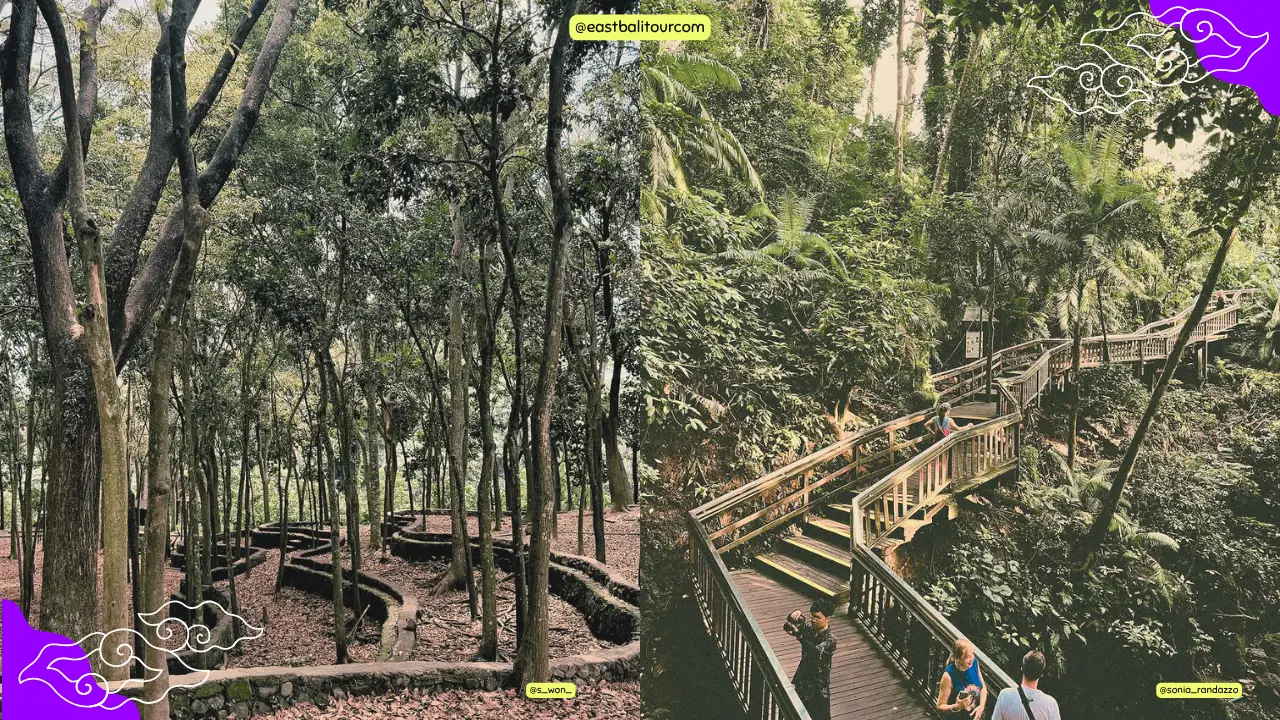 Tour de naturaleza y cultura en Bali con visita al Bosque de los Monos de Ubud y templos tradicionales.