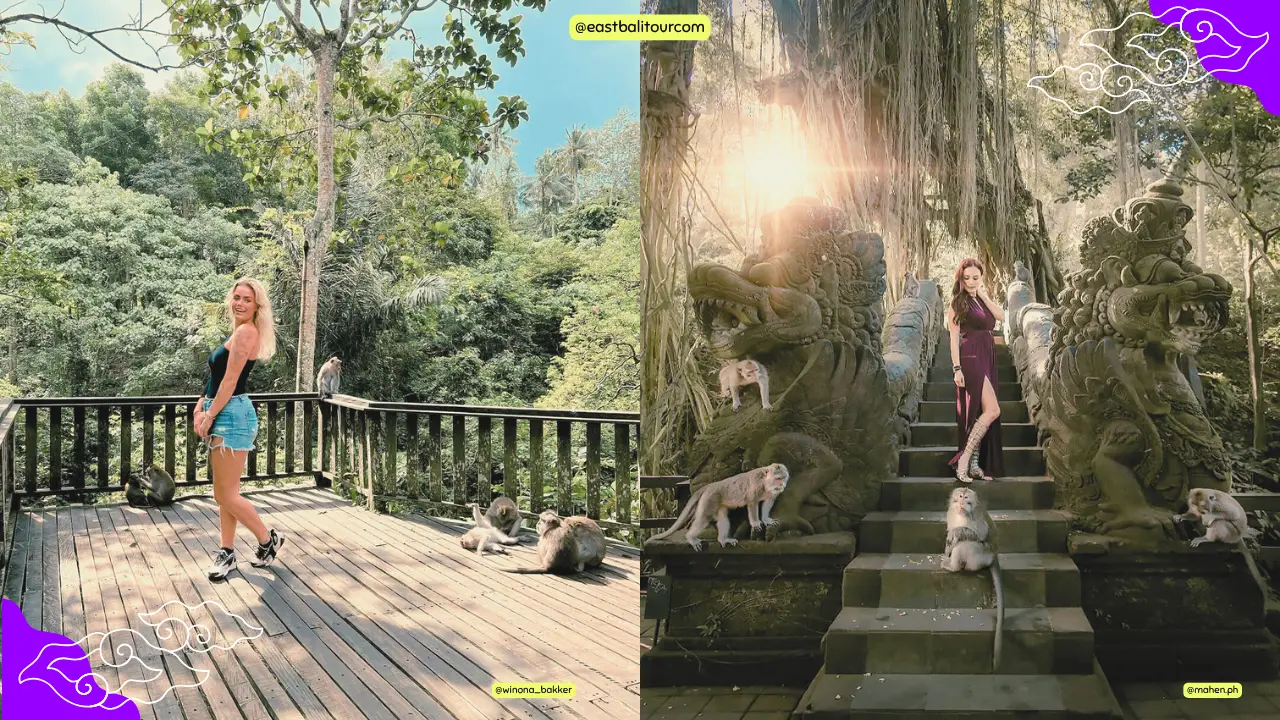 Tour en Bali con visita al Bosque de los Monos de Ubud entre templos sagrados y naturaleza.