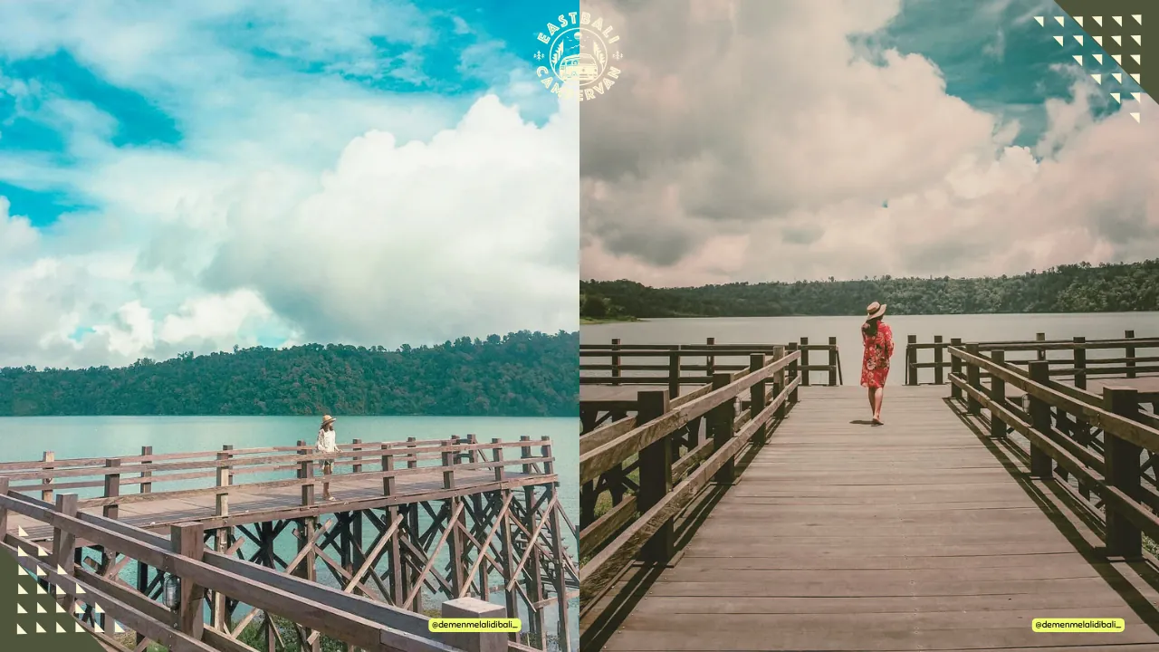 Buyan Lake Camping Bali – forest and lake views with tranquil campsite surrounded by pine trees and misty mountains.