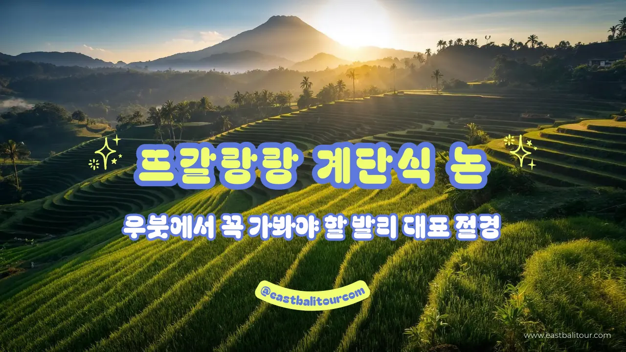 뜨갈랑랑 계단식 논 - 우붓에서 꼭 가봐야 할 발리 대표 절경