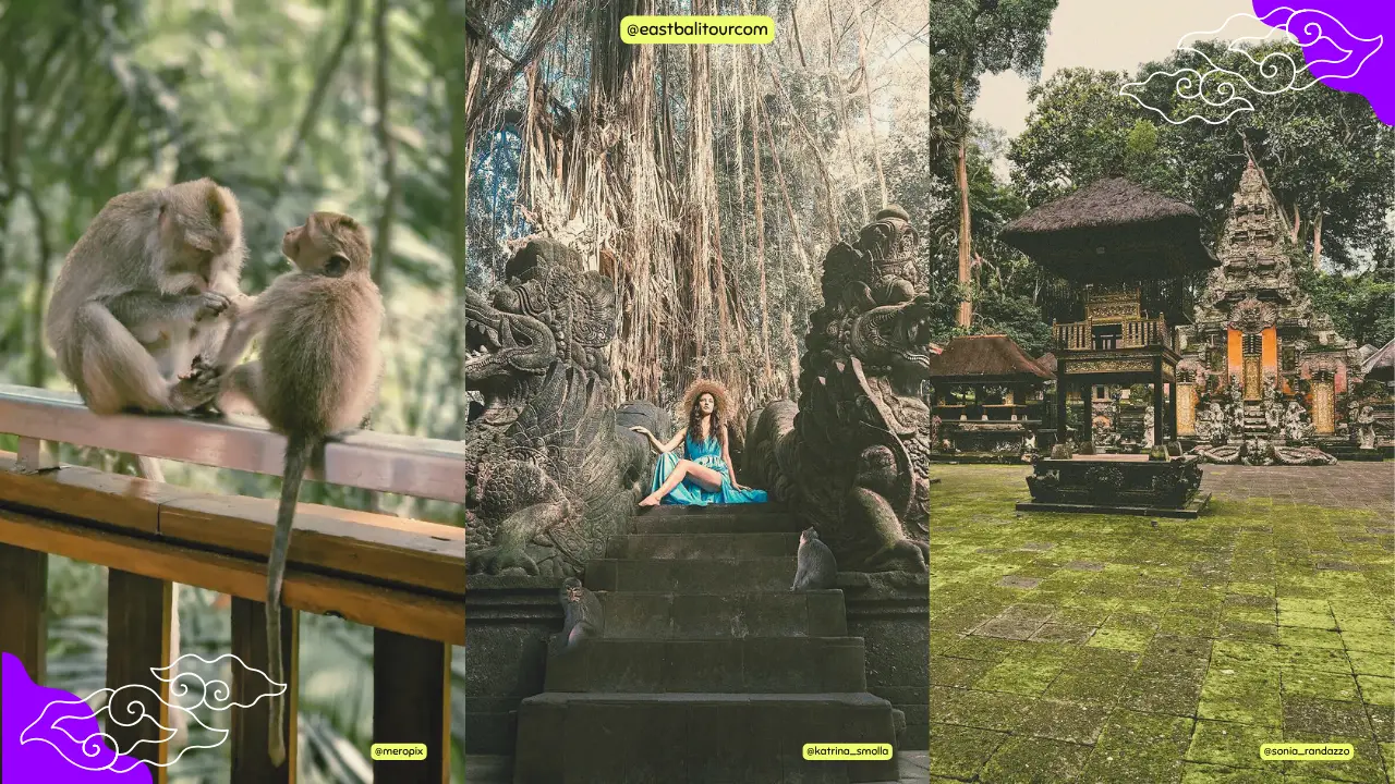 우붓 원숭이 숲 - 발리 영성을 가장 가까이 만나는 장소