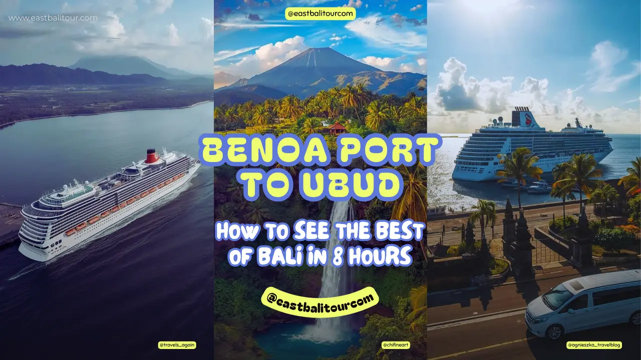 Benoa Port to Ubud: How to See the Best of Bali in 8 Hours 32 Benoa Port to Ubud — 8 hour Bali shore excursion