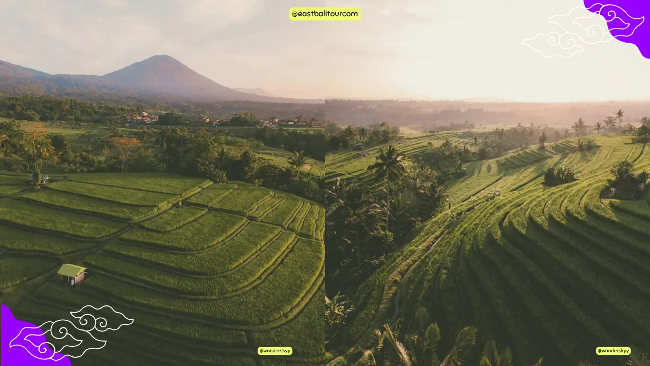 Terrazas de arroz de Jatiluwih en Bali, Patrimonio de la Humanidad por la UNESCO