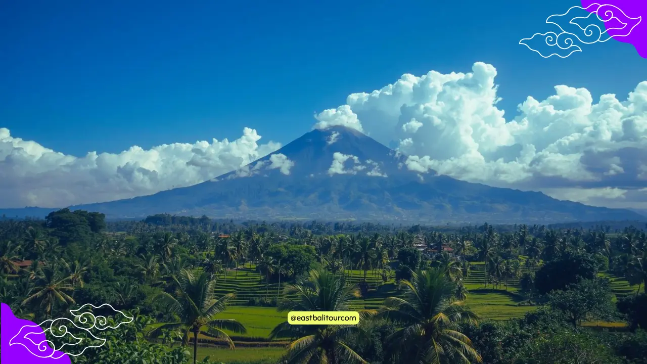 lima en Bali Hoy: Cielos soleados y nubes esponjosas sobre un campo tropical en Bali.