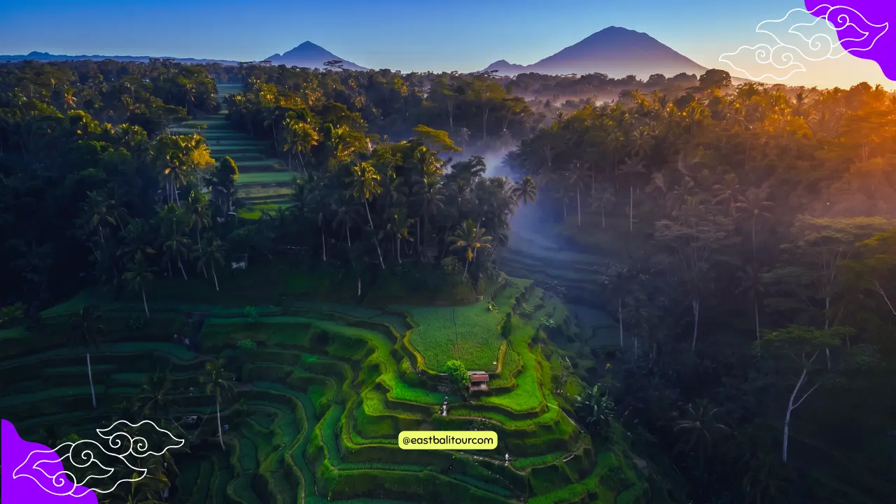 El tiempo en Bali: Cielos soleados y nubes sobre campos tropicales, ilustrando el clima de la isla.