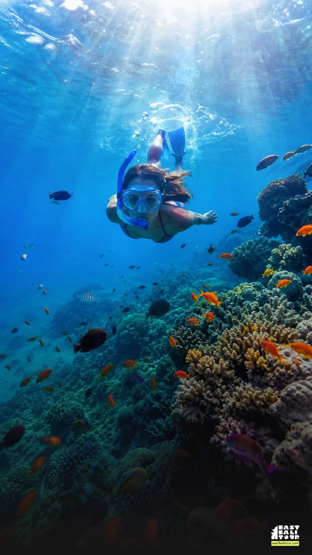 Home 24 Amed Snorkeling Guide
