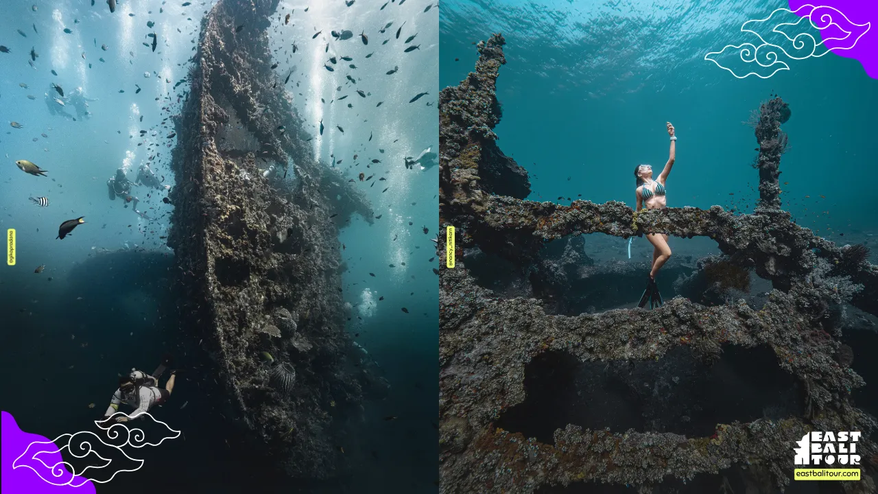 Amed snorkeling at the shallow Japanese Shipwreck covered in coral in Banyuning Bali