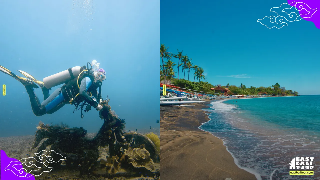 Amed snorkeling with sea turtles swimming along the shallow coral reef at Lipah Beach Bali
