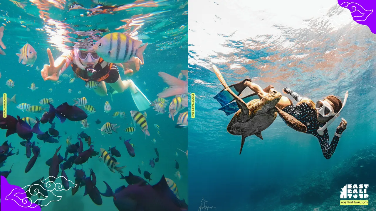 Beginner-friendly shore entry spot with calm shallow water for Amed snorkeling in Bali
