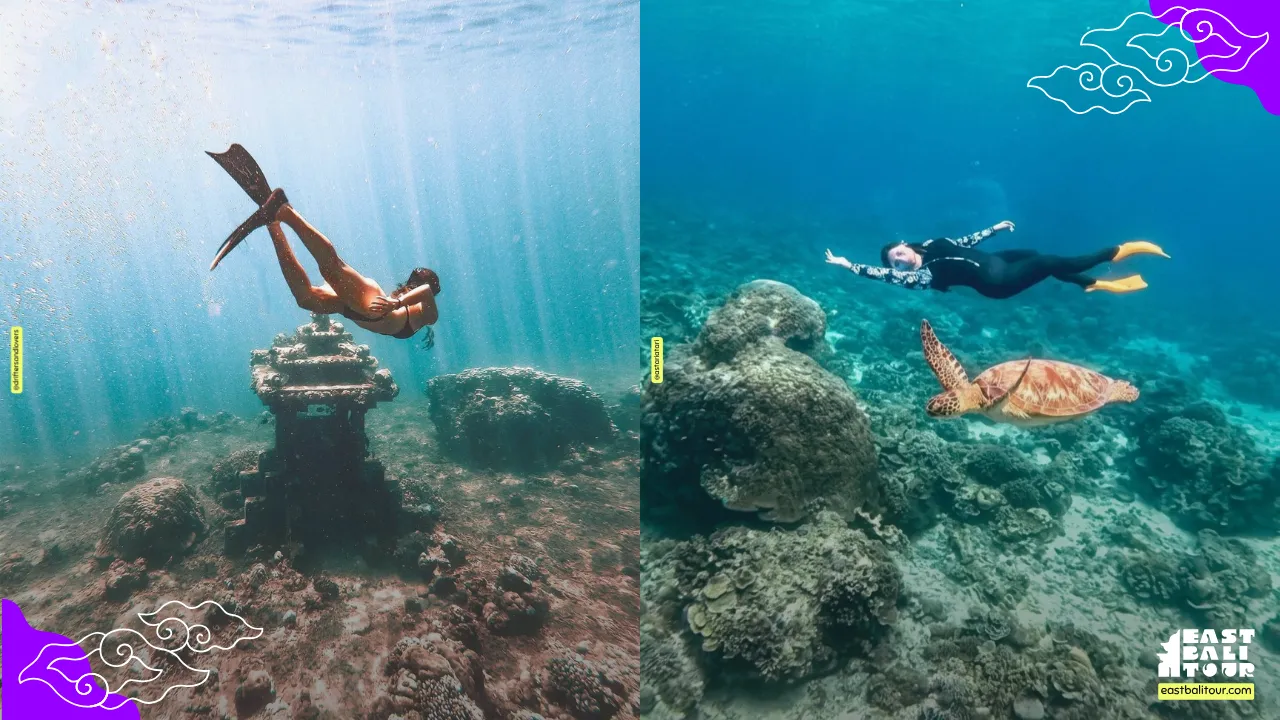 Vibrant coral reef and diverse marine life underwater at Jemeluk Bay in Amed Bali