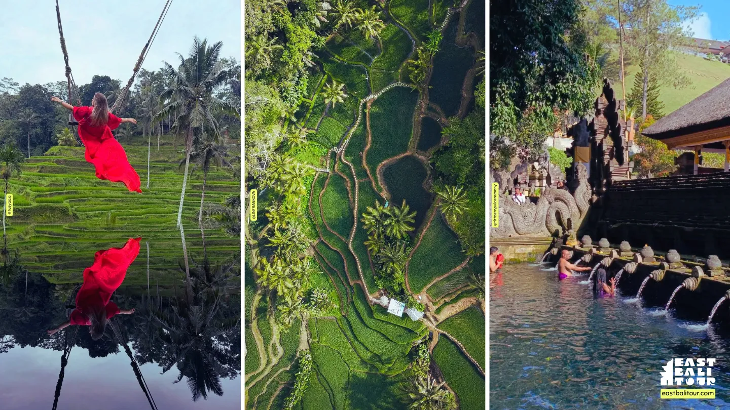 Resumen del itinerario del Tour Fotográfico por Bali con Tukad Cepung, terrazas de Tegallalang, Tirta Empul y plantación de café