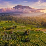 Sidemen Valley Rice Terrace Walking and Trekking Tour - East Bali Tour