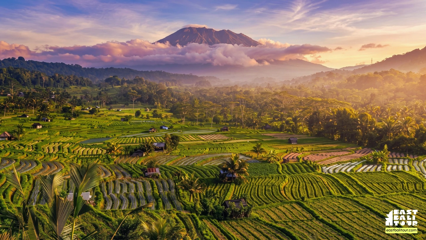 Sidemen Valley Rice Terrace Walking and Trekking Tour - East Bali Tour