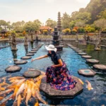 Tirta Gangga Water Palace - East Bali Tour